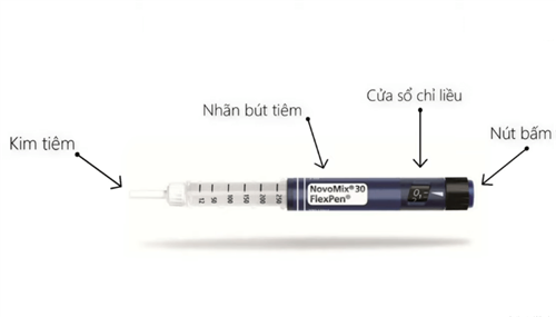 Hướng dẫn sử dụng bút Insulin tại nhà cho người bệnh đái tháo đường