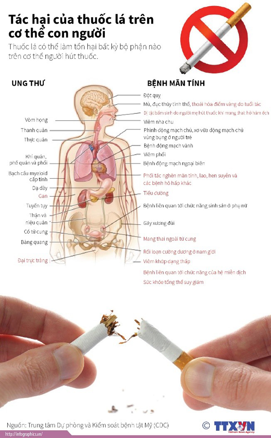 Điều gì xảy ra sau khi bạn bỏ thuốc lá? 3
