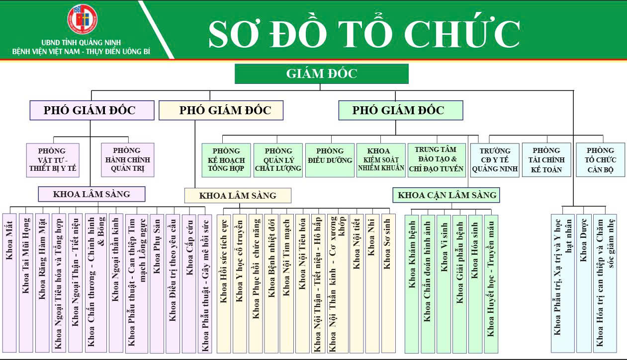 Sơ đồ tổ chức Bệnh viện Việt Nam - Thụy Điển Uông Bí
