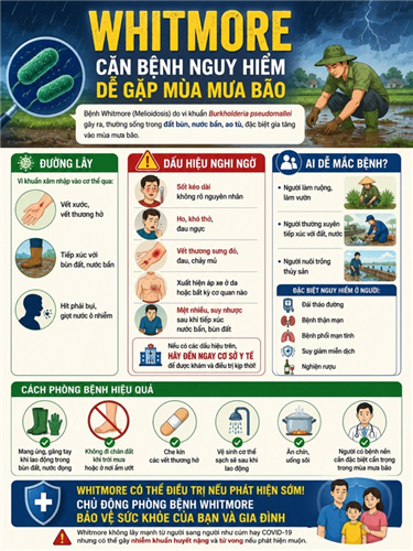 Whitmore – Căn bệnh nguy hiểm dễ gặp mùa mưa bão