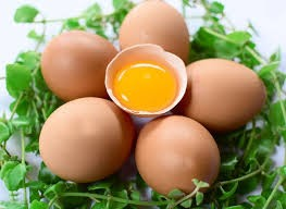 Trứng có chất đạm không?