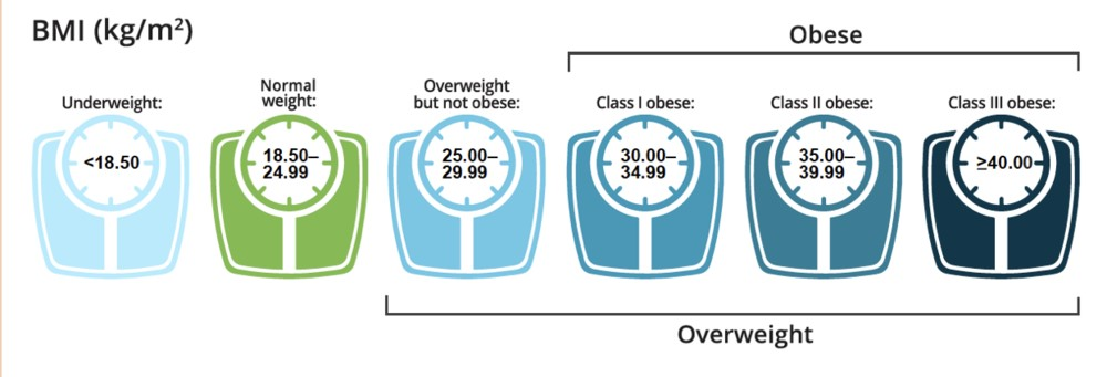 Chỉ số BMI có thể bị ảnh hưởng bởi các yếu tố khác như cơ thể, giới tính, độ tuổi không?
