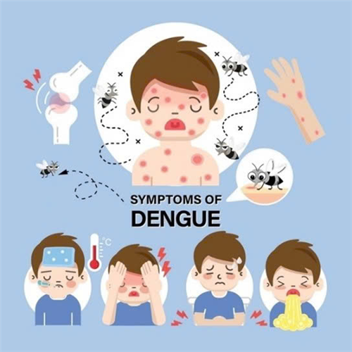 Cảnh báo sốt xuất huyết – Đừng chủ quan với muỗi !