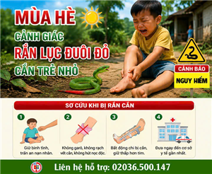 Mùa hè, cảnh giác rắn lục đuôi đỏ cắn trẻ nhỏ
