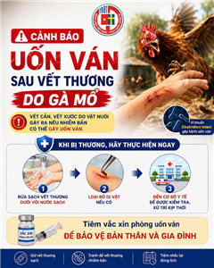 Cảnh báo uốn ván sau vết thương do gà mổ