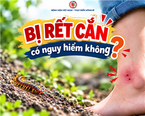Bị rết cắn có nguy hiểm không?