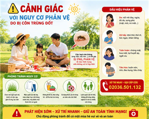 Cảnh giác với nguy cơ phản vệ khi bị côn trùng đốt
