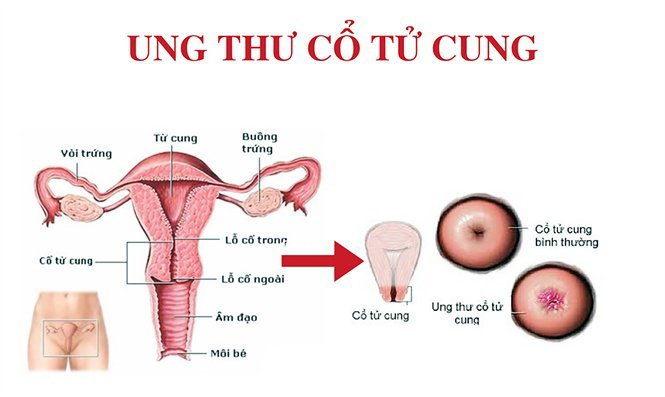 7. Kết luận