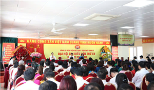 BỆNH VIỆN VIỆT NAM – THỤY ĐIỂN UÔNG BÍ TỔ CHỨC THÀNH CÔNG ĐẠI HỘI ĐẠI BIỂU ĐẢNG BỘ LẦN THỨ XV, NHIỆM KỲ 2025 – 2030