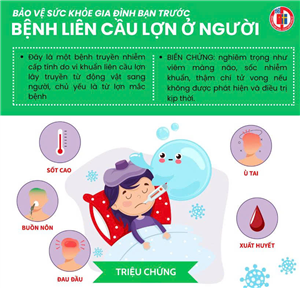 Bảo vệ sức khỏe gia đình bạn trước bệnh liên cầu lợn ở người