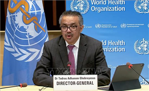 Dịch Ebola: WHO cảnh báo chủng virus hiếm gặp bùng phát nhanh tại Trung Phi