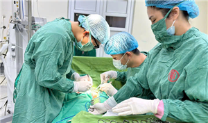 Làm chủ kỹ thuật phẫu thuật ngoại khoa ở trẻ nhỏ