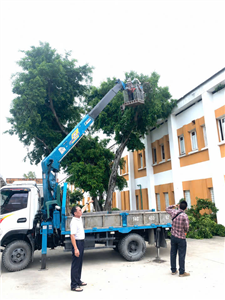 Chủ động triển khai các phương án ứng phó Bão số 1, bảo đảm an toàn cho người bệnh và nhân viên y tế